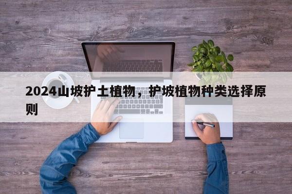 2024山坡护土植物，护坡植物种类选择原则