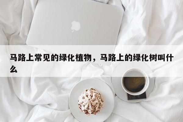 马路上常见的绿化植物，马路上的绿化树叫什么