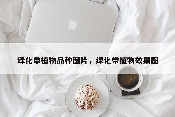 绿化带植物品种图片，绿化带植物效果图
