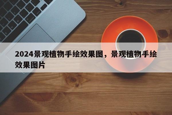 2024景观植物手绘效果图，景观植物手绘效果图片