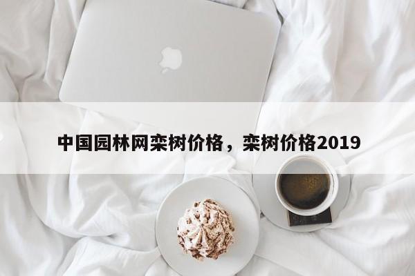 中国园林网栾树价格,栾树价格2019