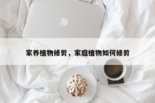 家养植物修剪，家庭植物如何修剪
