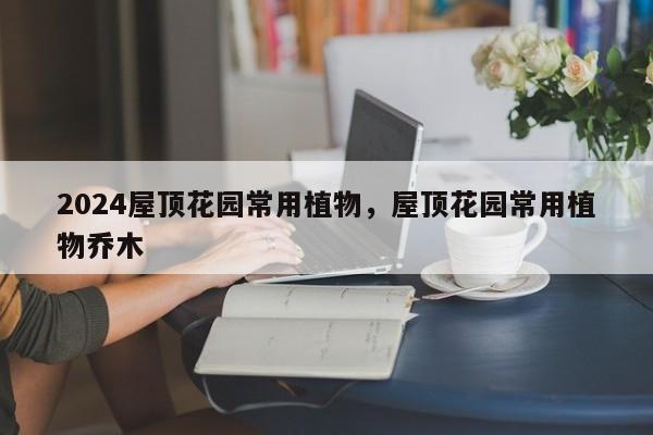 2024屋顶花园常用植物，屋顶花园常用植物乔木