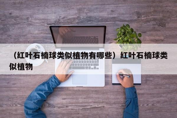（红叶石楠球类似植物有哪些）红叶石楠球类似植物