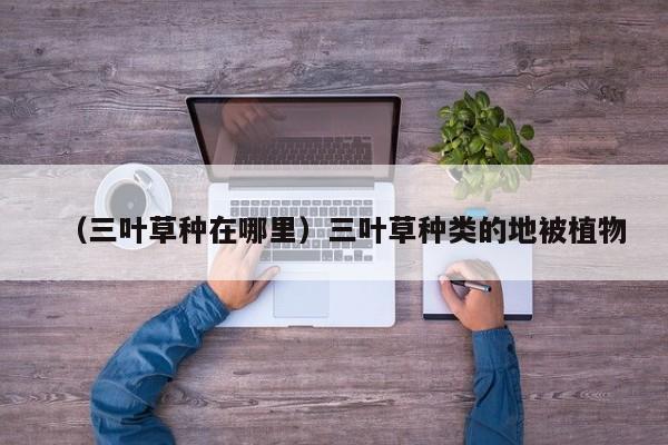 （三叶草种在哪里）三叶草种类的地被植物