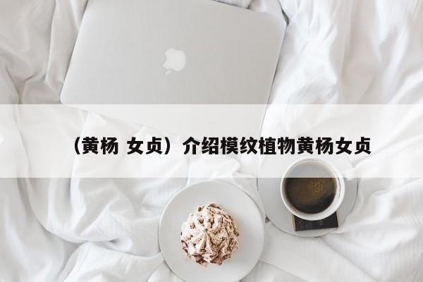 （黄杨 女贞）介绍模纹植物黄杨女贞