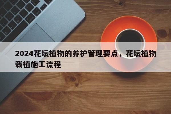 2024花坛植物的养护管理要点，花坛植物栽植施工流程