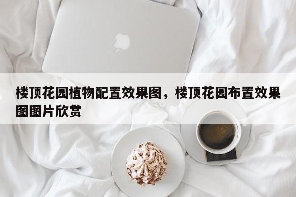 楼顶花园植物配置效果图，楼顶花园布置效果图图片欣赏