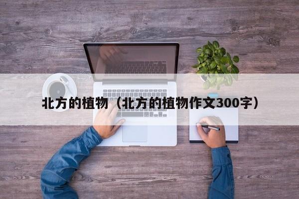 北方的植物（北方的植物作文300字）