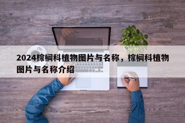 2024棕榈科植物图片与名称，棕榈科植物图片与名称介绍