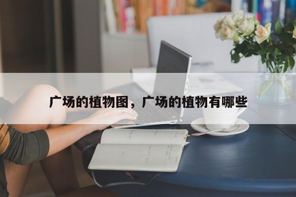 广场的植物图，广场的植物有哪些