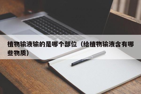 植物输液输的是哪个部位（给植物输液含有哪些物质）