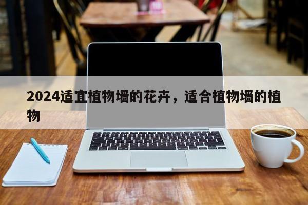 2024适宜植物墙的花卉，适合植物墙的植物