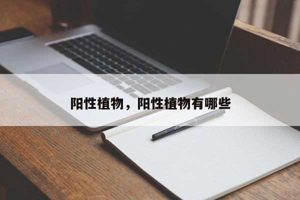 阳性植物，阳性植物有哪些