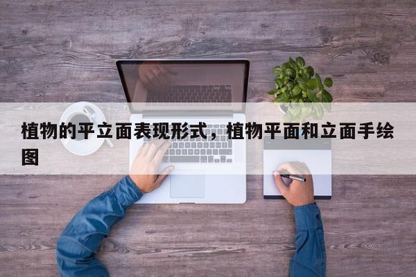 植物的平立面表现形式，植物平面和立面手绘图
