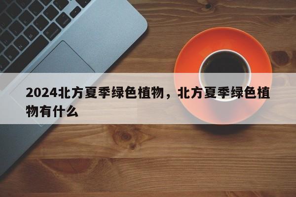2024北方夏季绿色植物，北方夏季绿色植物有什么