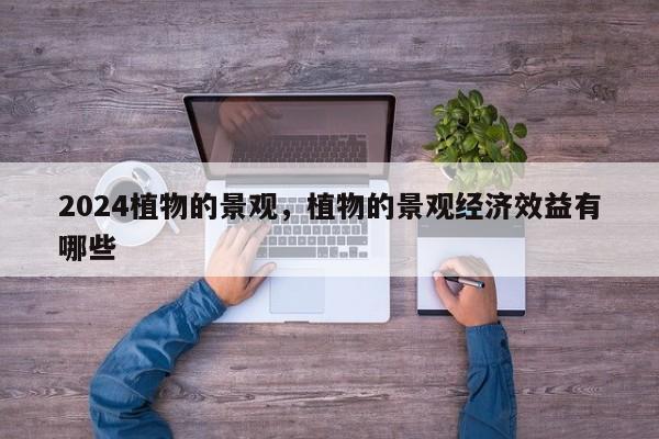 2024植物的景观，植物的景观经济效益有哪些