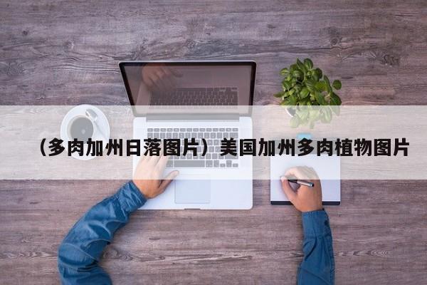 （多肉加州日落图片）美国加州多肉植物图片