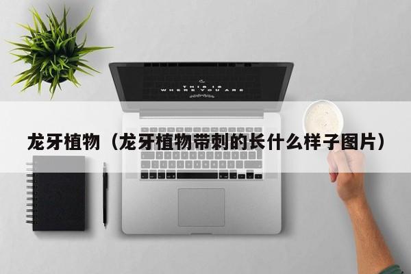 龙牙植物（龙牙植物带刺的长什么样子图片）