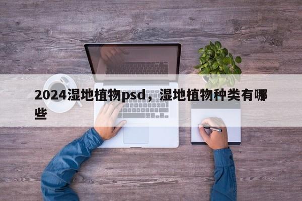 2024湿地植物psd，湿地植物种类有哪些
