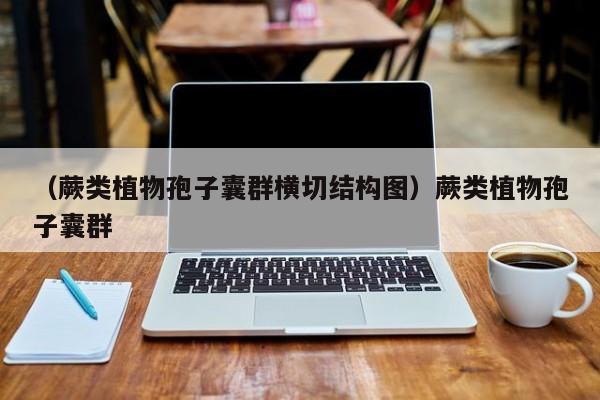 （蕨类植物孢子囊群横切结构图）蕨类植物孢子囊群