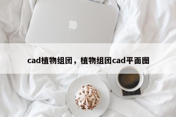 cad植物组团，植物组团cad平面图