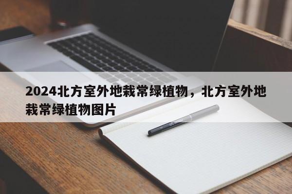 2024北方室外地栽常绿植物，北方室外地栽常绿植物图片