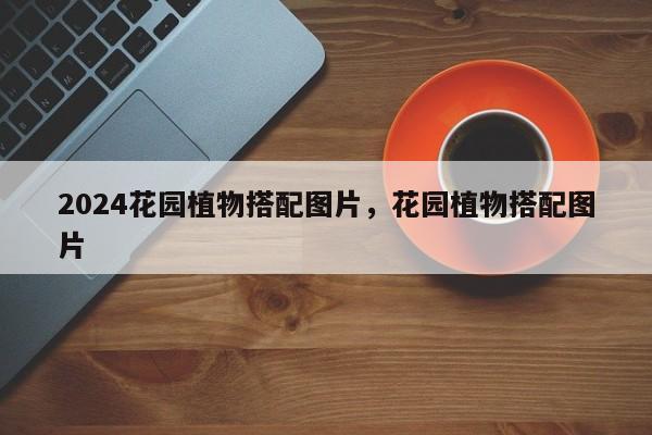 2024花园植物搭配图片，花园植物搭配图片