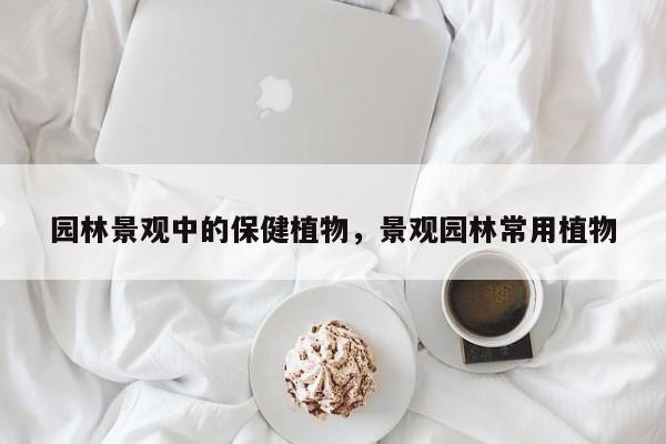 园林景观中的保健植物，景观园林常用植物