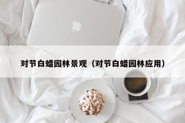 对节白蜡园林景观（对节白蜡园林应用）
