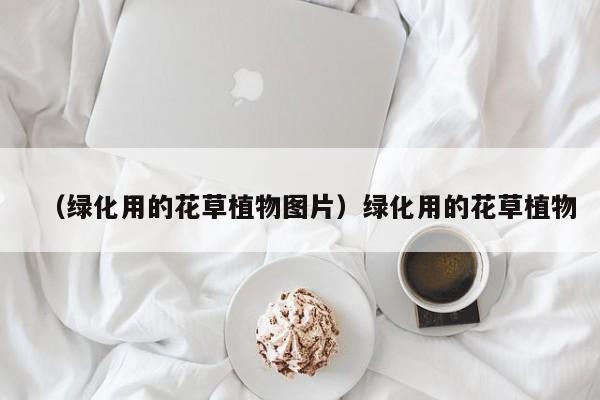(绿化用的花草植物图片)绿化用的花草植物