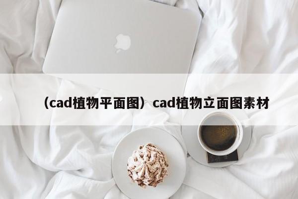 (cad植物平面图)cad植物立面图素材