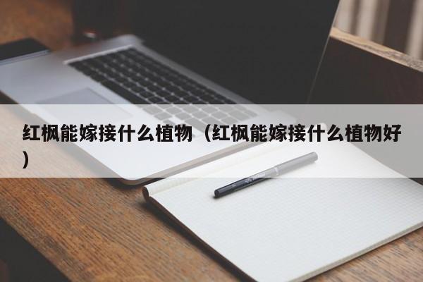红枫能嫁接什么植物（红枫能嫁接什么植物好）