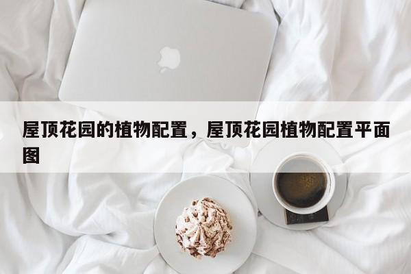 屋顶花园的植物配置，屋顶花园植物配置平面图