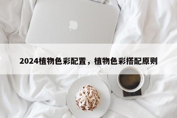2024植物色彩配置，植物色彩搭配原则
