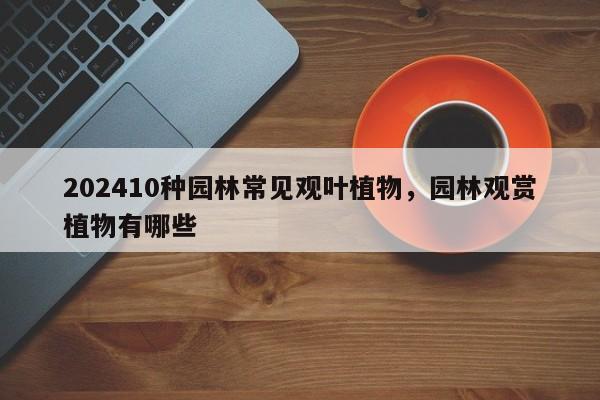 202410种园林常见观叶植物，园林观赏植物有哪些