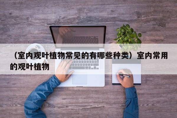 （室内观叶植物常见的有哪些种类）室内常用的观叶植物