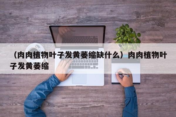 （肉肉植物叶子发黄萎缩缺什么）肉肉植物叶子发黄萎缩