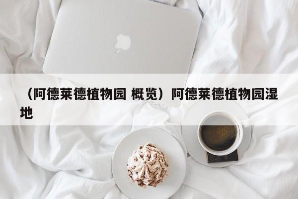 （阿德莱德植物园 概览）阿德莱德植物园湿地