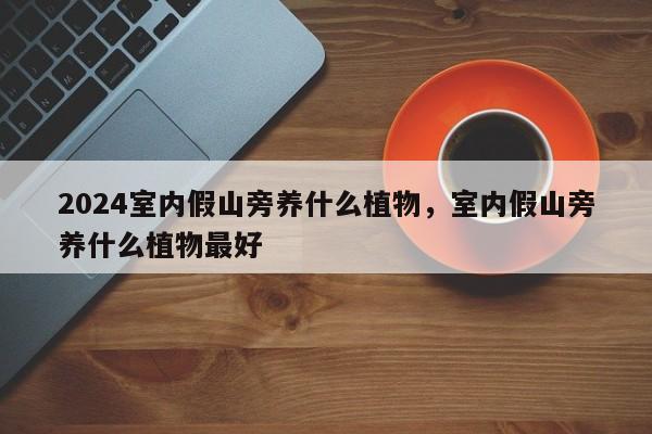 2024室内假山旁养什么植物，室内假山旁养什么植物最好