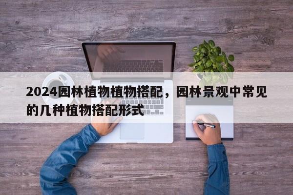 2024园林植物植物搭配，园林景观中常见的几种植物搭配形式