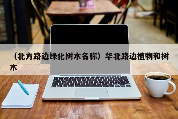 （北方路边绿化树木名称）华北路边植物和树木