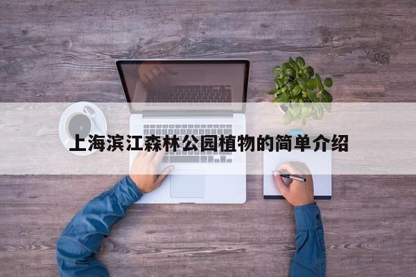 上海滨江森林公园植物的简单介绍